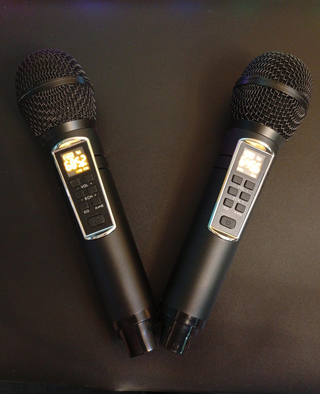 Máquina de karaoke para adultos y niños con 2 micrófonos, SINWE.