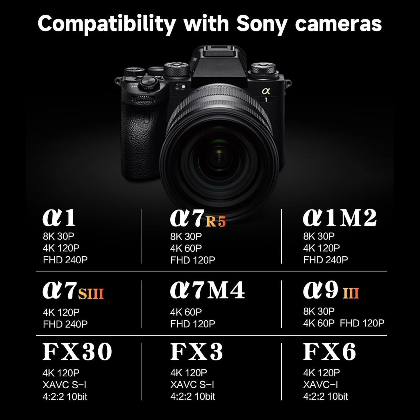 Tarjeta de memoria profesional CFE tipo A PRO, de 256 GB.