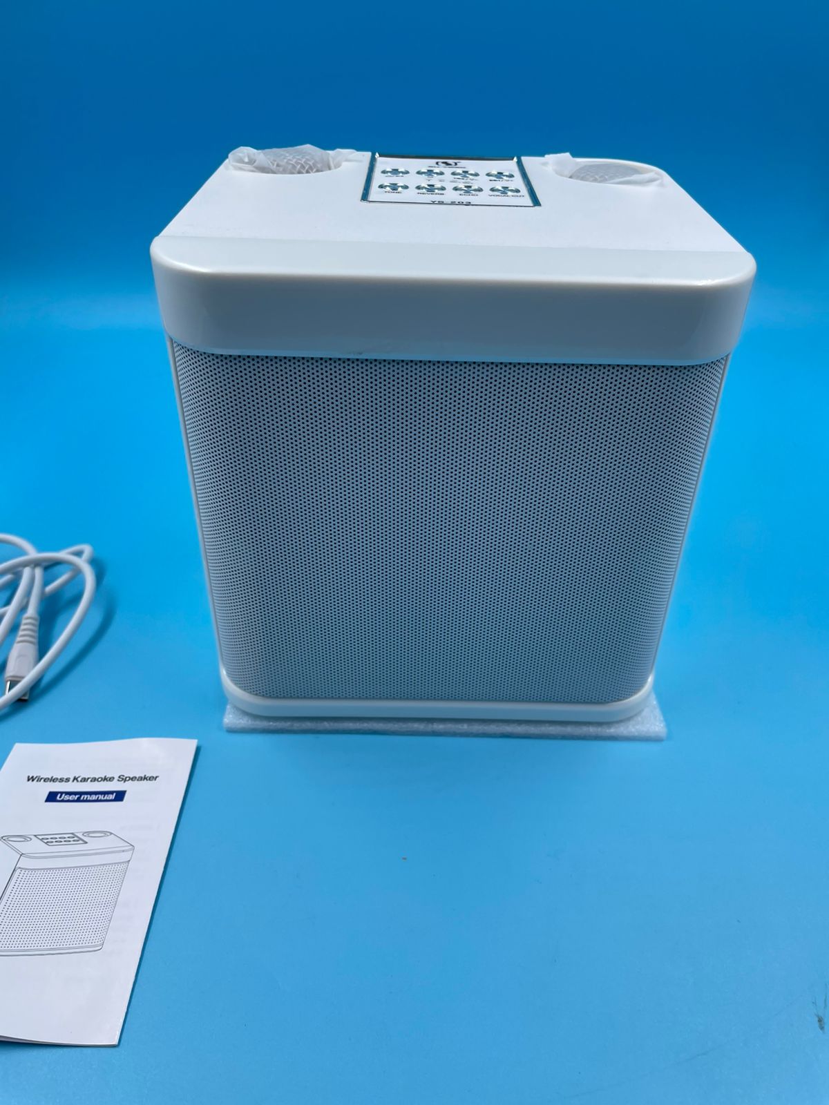 Flyasny Máquina de Karaoke con 2 micrófonos inalámbricos.