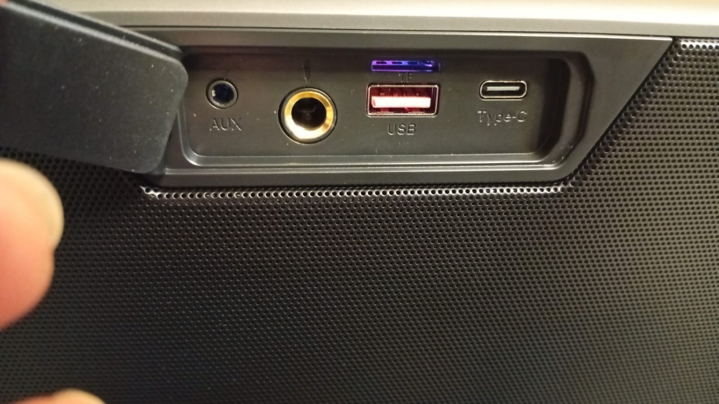 Máquina de karaoke con dos micrófonos inalámbricos, Zeelink.