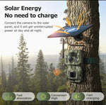Cámara Vigilancia Solar 4G Camuflaje Para Exterior (USADO)