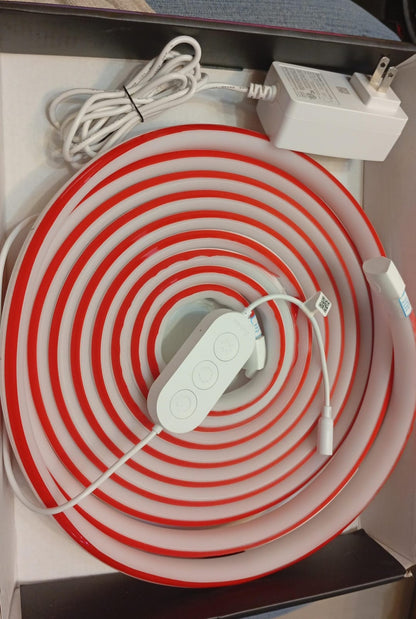 Tira de luz LED, Cuerda Govee de Neón, Compatible Alexa, 5m (DETALLE)