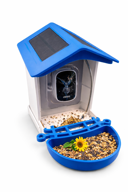 Camara Inteligente AI Q40 para Comedero Pajaros Wifi