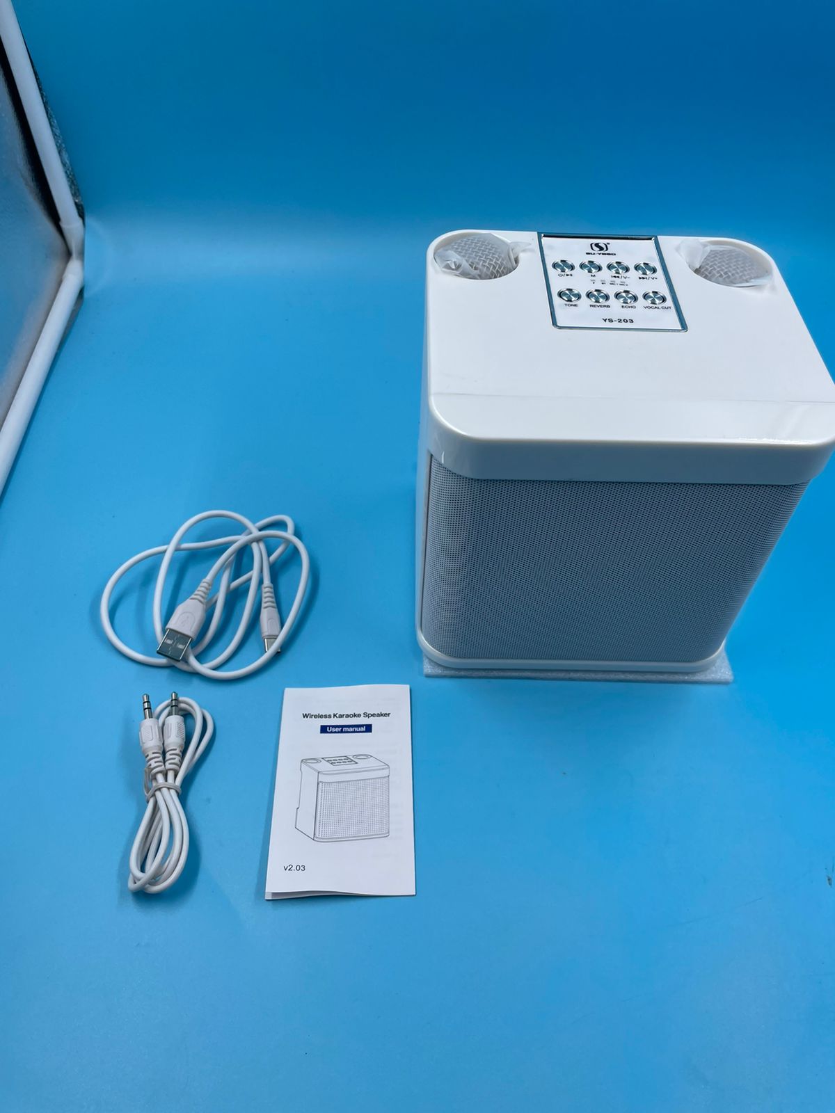 Flyasny Máquina de Karaoke con 2 micrófonos inalámbricos.