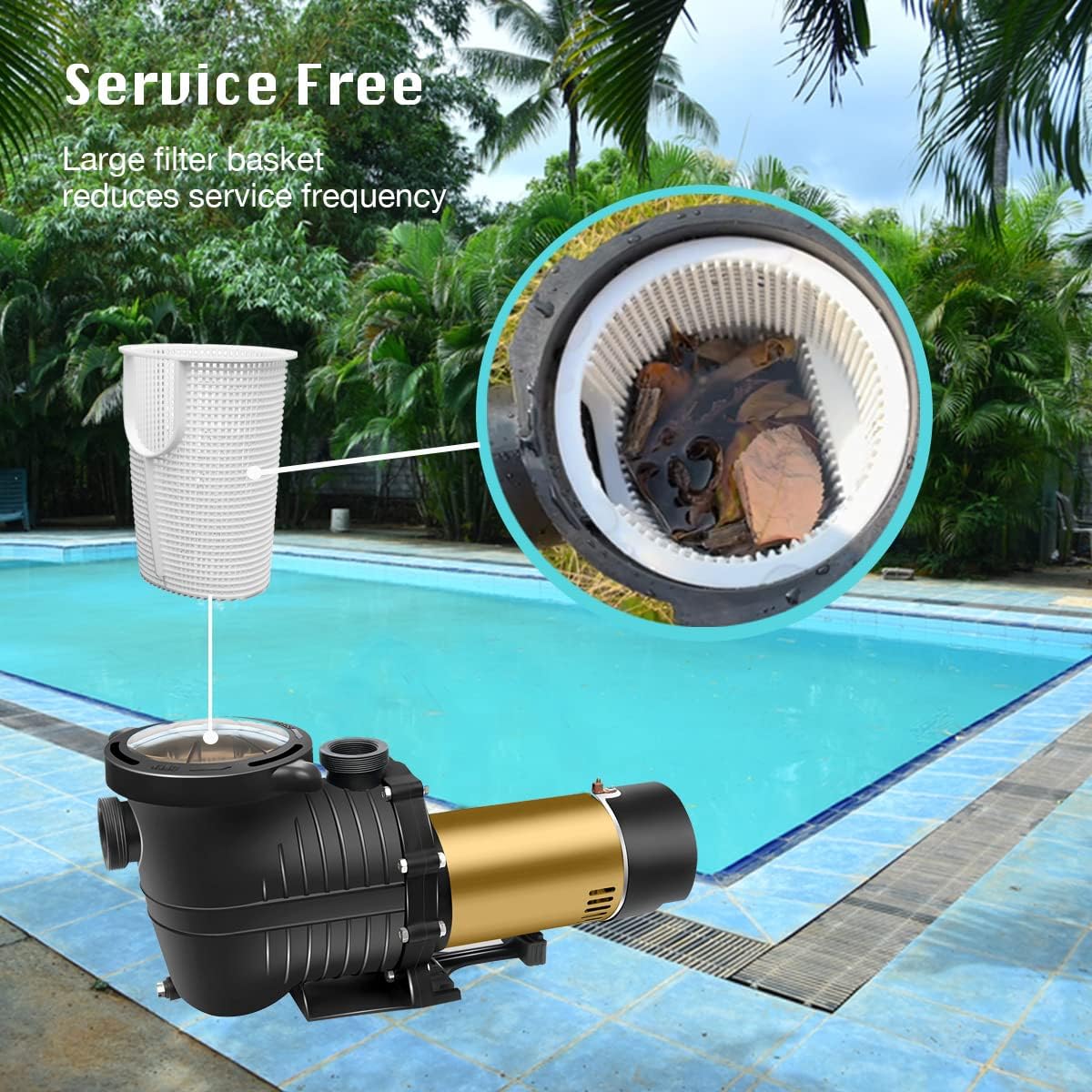 Pureby - Bomba De Piscina De 1.5 Hp, 115V, 42FT, autocebante.