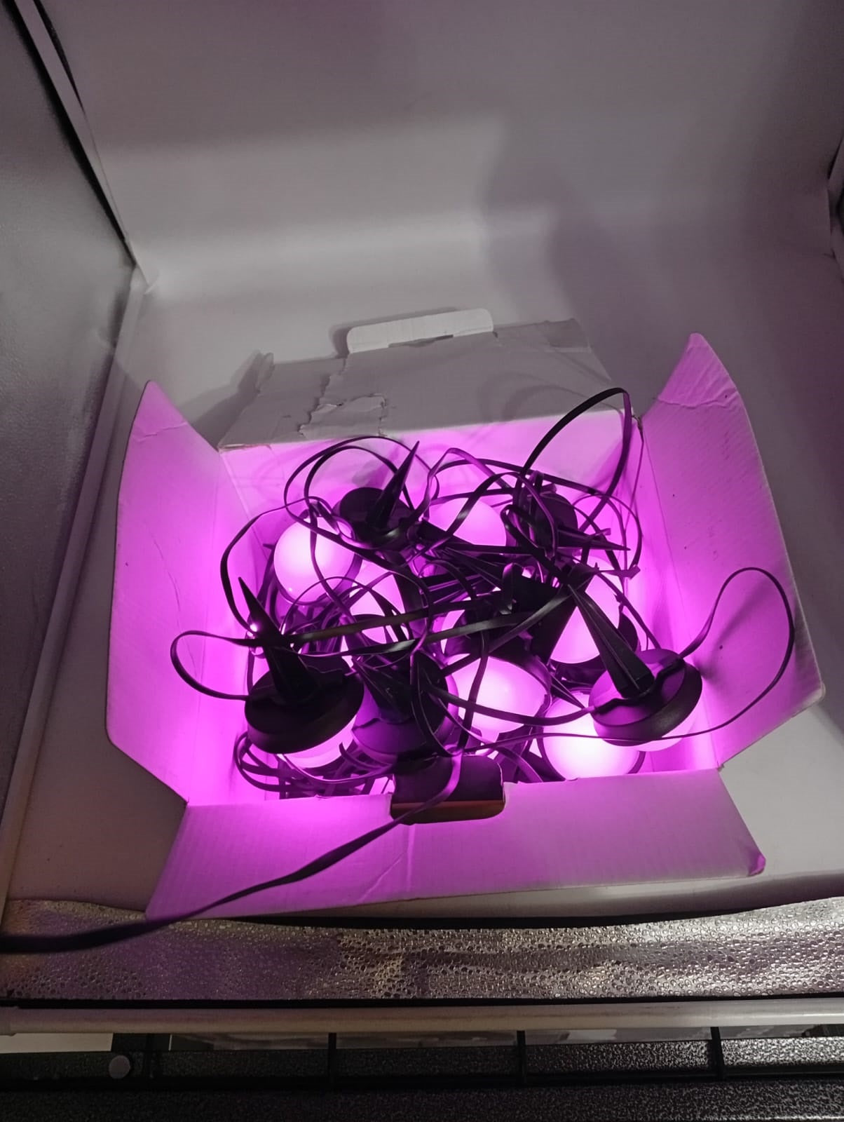 Luces inteligentes para jardin, Boleise, compatibles con Alexa.(USADO)