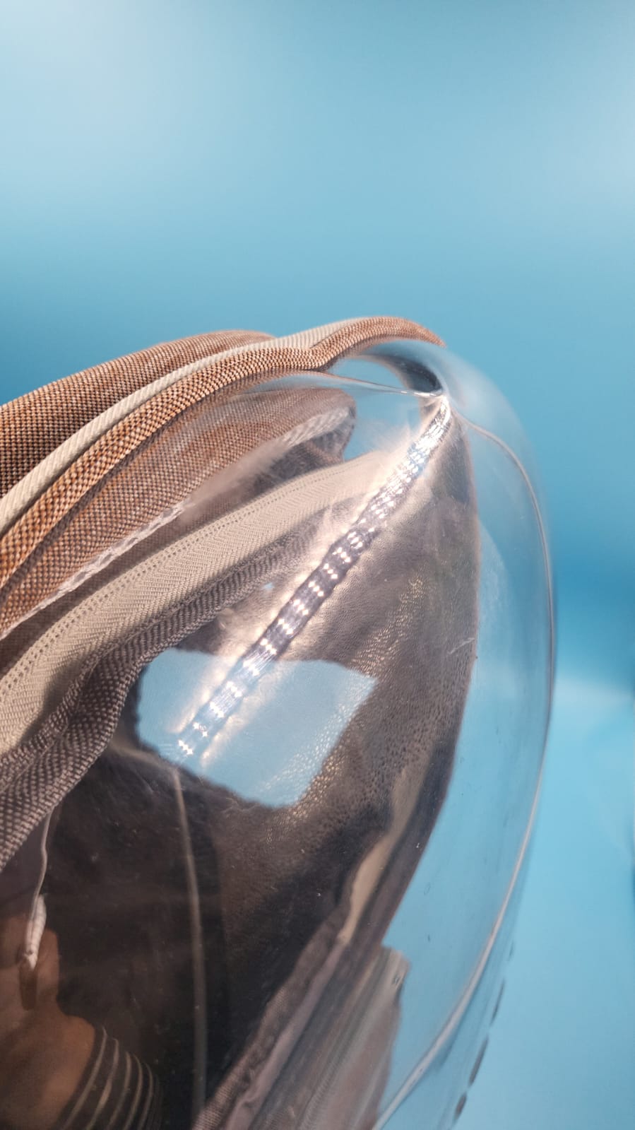 Mochila plegable de Burbujas para Gatitos a gatos medianos, Perros 18 libras.