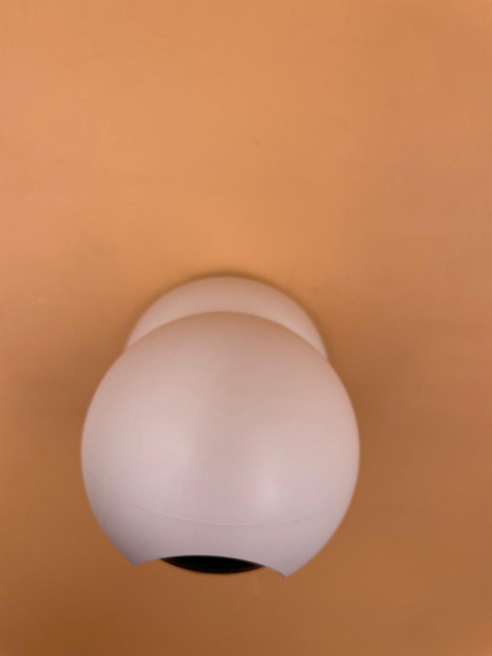 Blurams Cámara Mascota 2K, Cámaras para Seguridad en el Hogar.