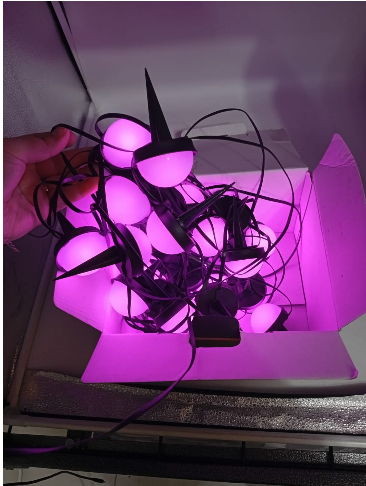 Luces inteligentes para jardin, Boleise, compatibles con Alexa.(USADO)