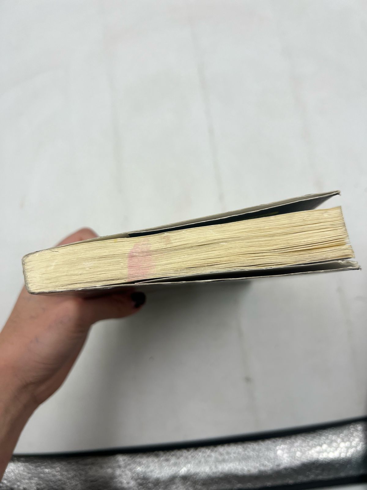 Los gatos guerreros en territorio salvaje (USADO)