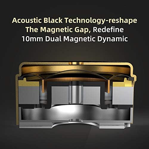 Monitores intraurales 1BA, doble driver 1DD cableado ZSN Pro X.