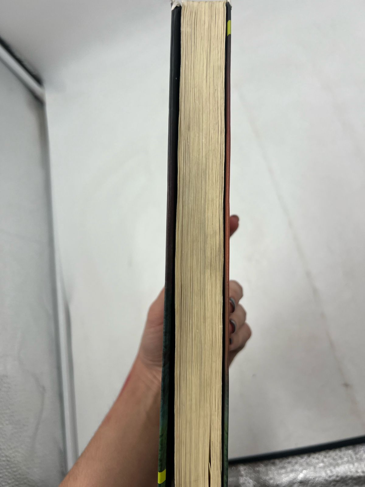 Los gatos guerreros en territorio salvaje (USADO)