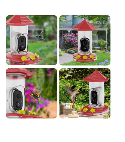 Comedero inteligente para colibríes, con cámara, (USADO).