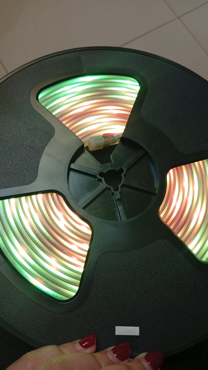 Tiras de luces LED para exteriores Govee RGBIC, luz blanca cálida y fría, 10M