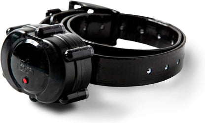 Collar Para Perros De Entrenamiento  Dt Systems Idt Z3000 Plus