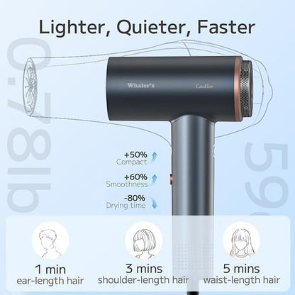 WHALER'S Secador de pelo profesional CareFlow