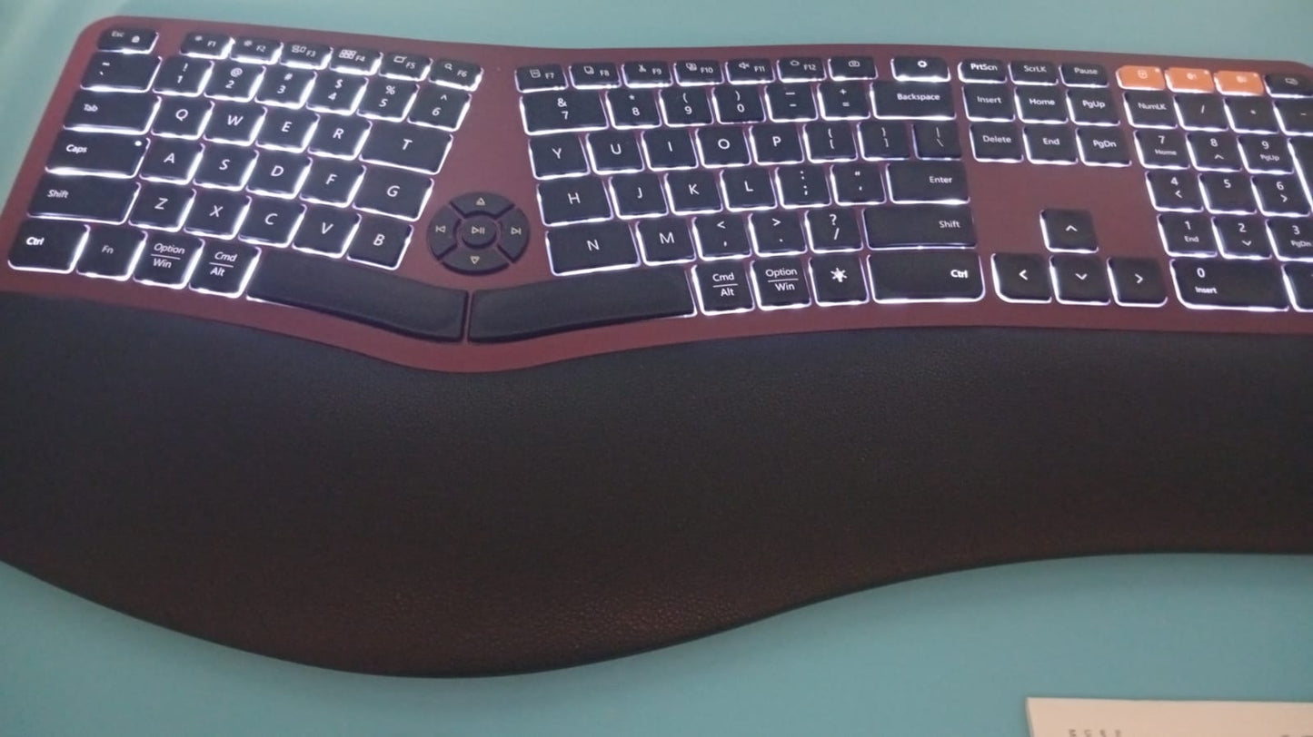 ProtoArc, Teclado ergonómico Bluetooth retroiluminado, recargable.