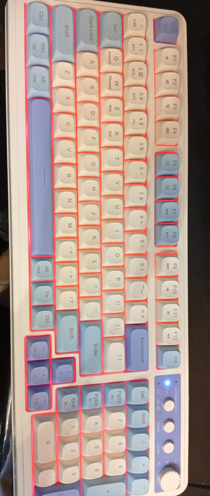 Teclado con cable, retroiluminado RGB, AULA S99, numérico.