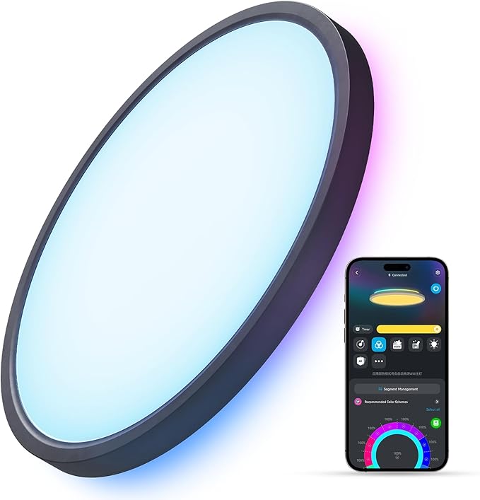 Plafón Inteligente Govee RGBIC LED 12 Pulg 2400LM WiFi