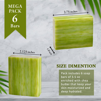 6 Jabones naturales de maderas costeras 100g