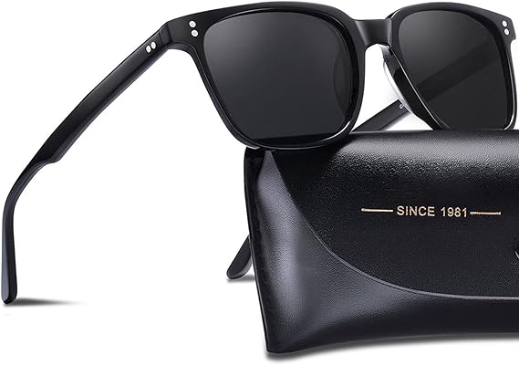 Gafas de sol polarizadas retro CARFIA UV400