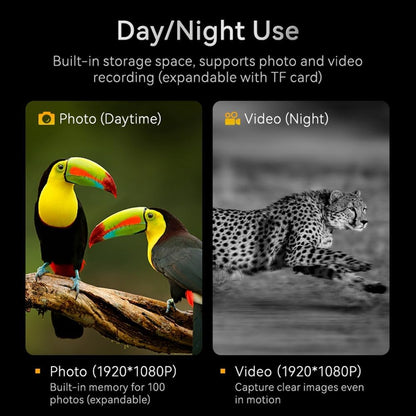 Binoculares 4K de Visión A Color con Poca Luz