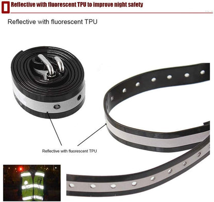 Sistema Cerca Invisible 2 Collares Recargable