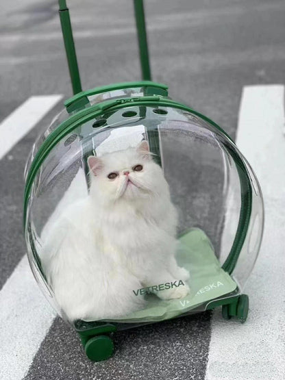 Maleta para mascotas Vetreska, aprobado por aerolíneas, con ruedas.
