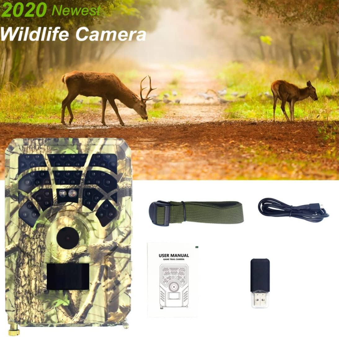 Cámara de Vida Silvestre Cámara al Aire Libre HD Impermeable USADO