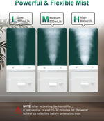 Humidificador, vapor caliente, acero inoxidable, MIFASOL (USADO).