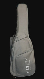 Guitarra Eléctrica Fesley, Cuello De Arce, Cuerpo Solido, 39".
