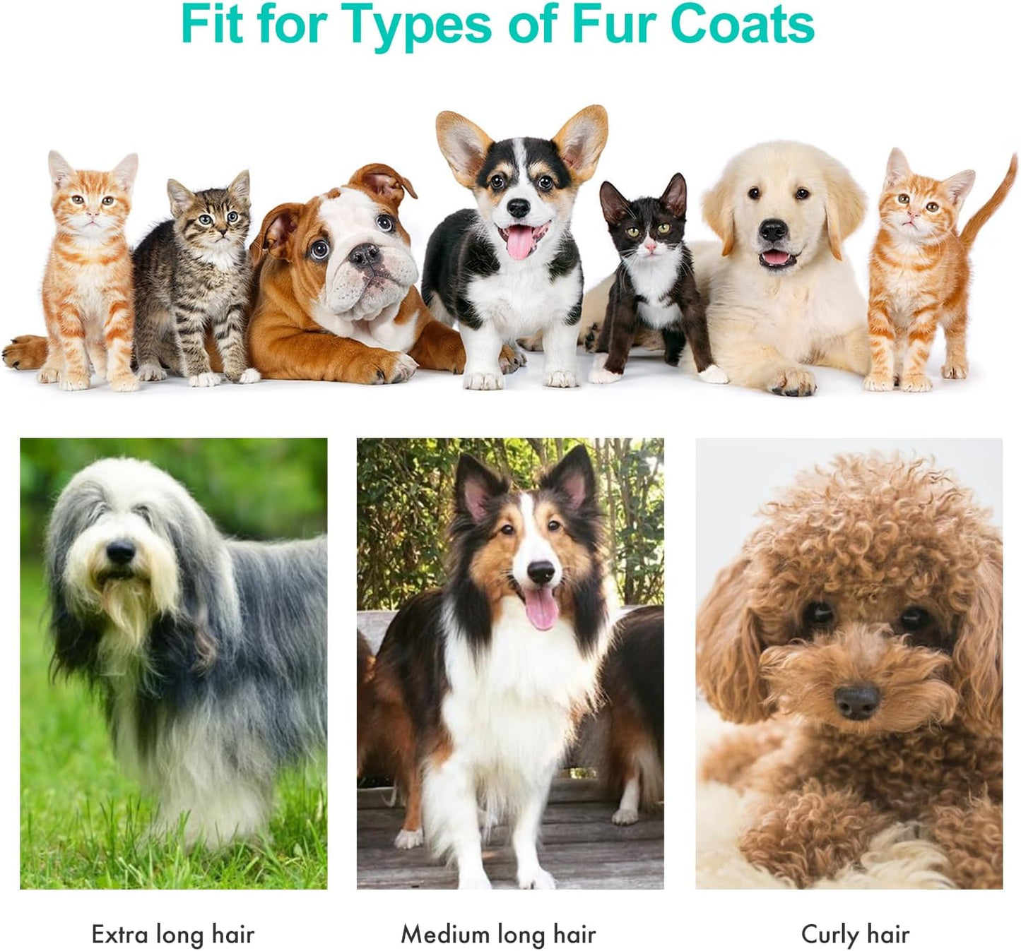 Kit de aseo para mascotas y succión al vacío, 5 herramientas.