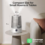 Humidificador para hogar, Homvana H101, 3.6Lt, con difusor de aceite.