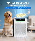 Purificador de aire para el hogar, con modo inteligente.(USADO)