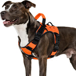 Arnés táctico Wingoin naranja, para perros medianos, reflectante ajustable
