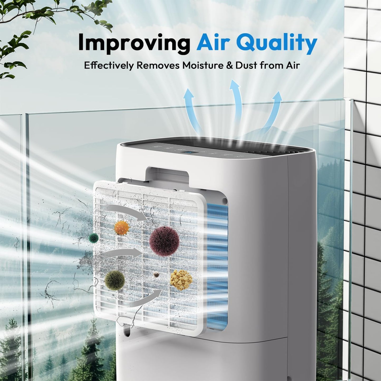 Deshumidificador doméstico indicador de humedad (USADO)