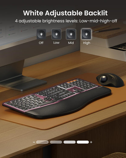 ProtoArc, Teclado ergonómico Bluetooth retroiluminado, recargable.