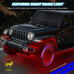 Luces LED de roca TDE Explorer Lighting, 10 cápsulas RGB (USADO)