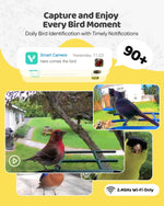 Comedero para pájaros con cámara, energía solar, identificación AI.