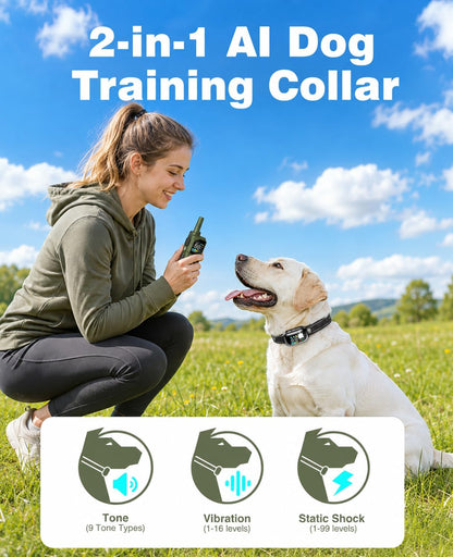Collares de entrenamiento para perros Eloop, 1100 yds (USADO)