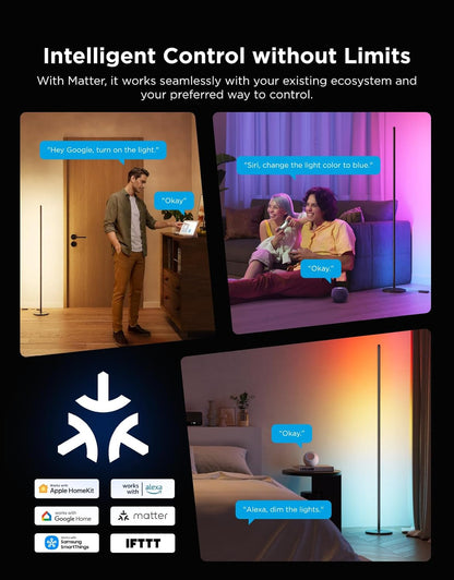 Lámpara de pie básica, Govee RGBICW, funciona con Alexa(CAJA ABIERTA)