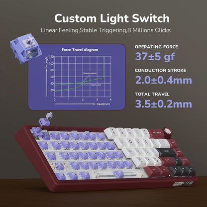 Teclado Mecánico RK Royal Kludge R65 RGB Rojo