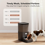 Comedero Automático para mascotas PETLIBRO 6L Programable