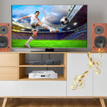 Conmutador de Audio estéreo bidireccional L/R (USADO)