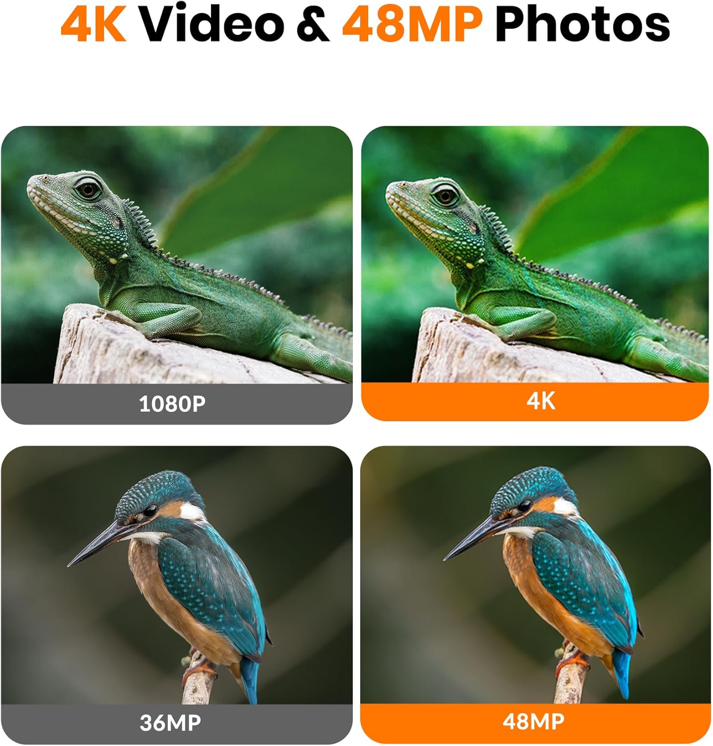 Cámara de caza deporte IP66 impermeable 4k (USADO)