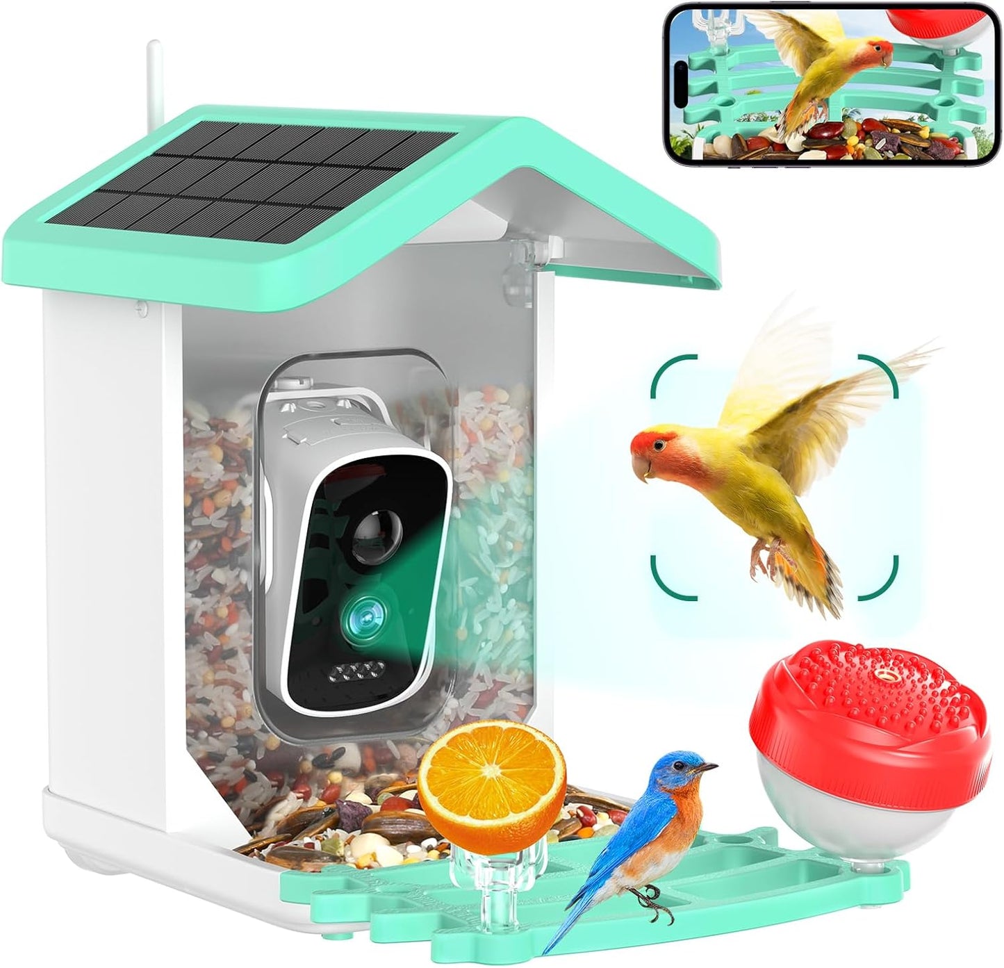 Alimentador de pájaros con cámara, Solar, AI, detección de movimiento.