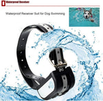Sistema Cerca Invisible 2 Collares Recargable