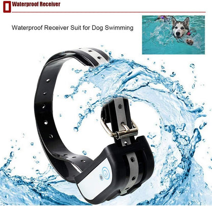 Sistema Cerca Invisible 2 Collares Recargable
