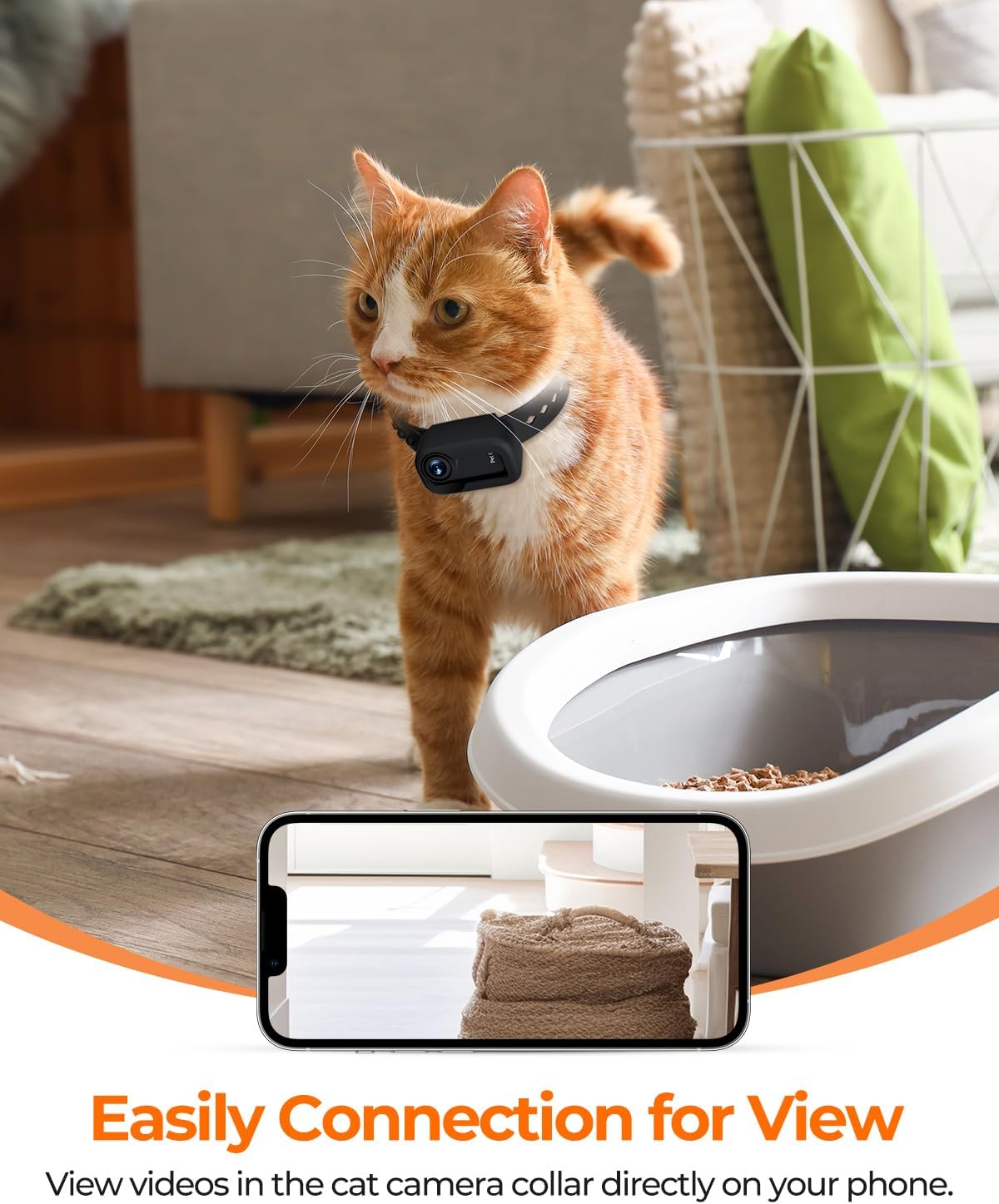 Collar de rastreador de mascota 4K, con WiFi para gatos y perros