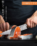 Cuchillo de chef de 25,4cm, con protector de dedos, (USADO).